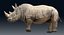 Rhinoceros_Rigged