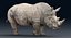Rhinoceros_Rigged