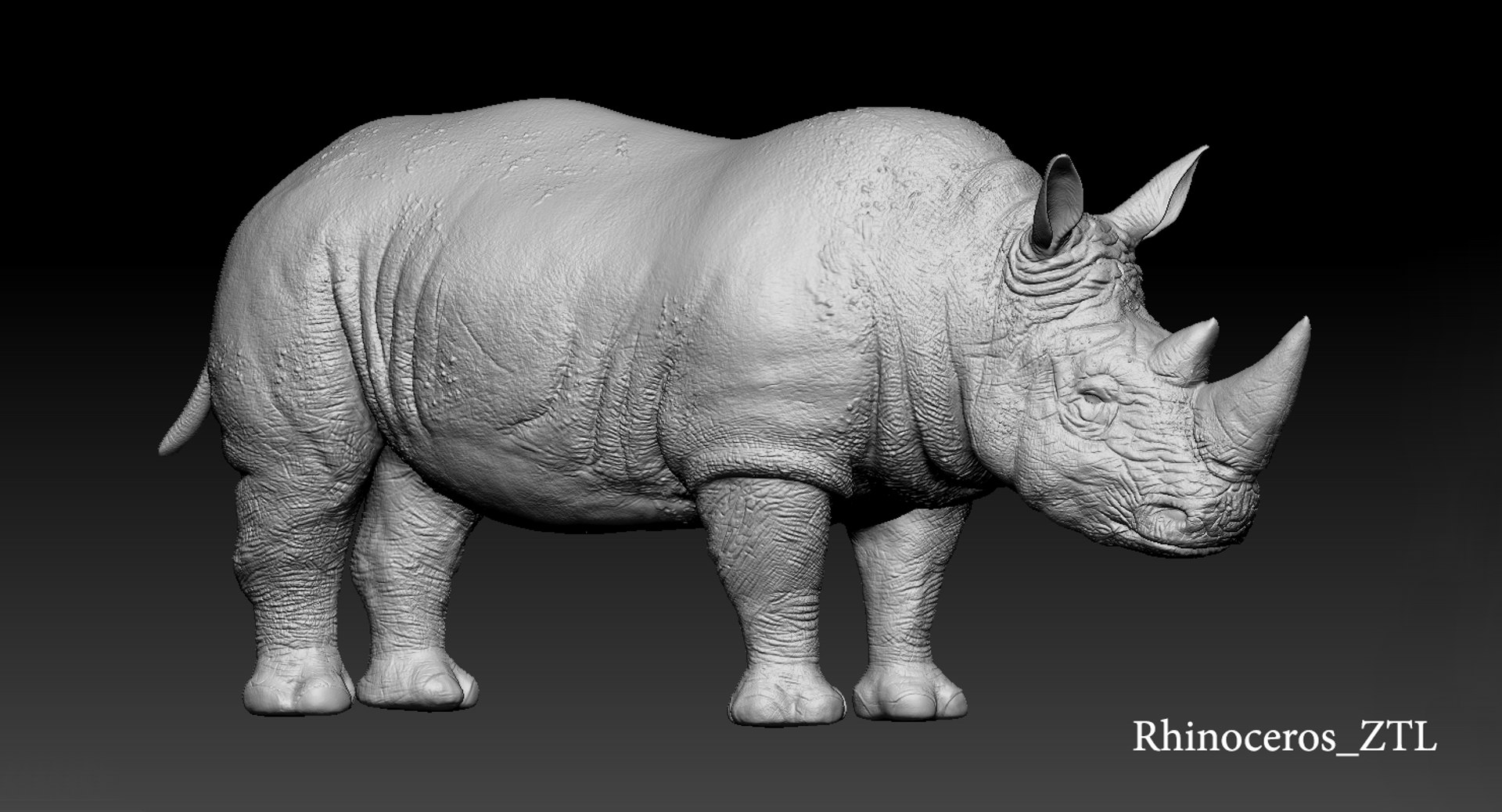 rhinoceros rigged 3D model https://p.turbosquid.com/ts-thumb/hr/MntE92/fT4szKT4/z006/png/1537023924/1920x1080/fit_q87/322803bddce193a110fbddfd8507d2558176f402/z006.jpg