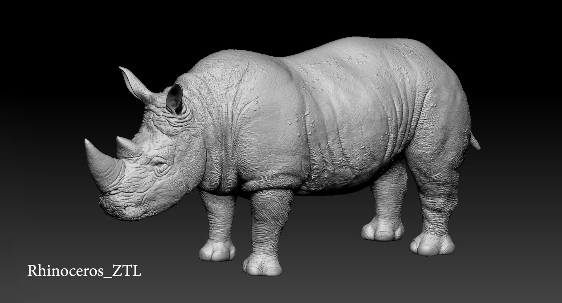 rhinoceros rigged 3D model https://p.turbosquid.com/ts-thumb/hr/MntE92/lCCfWswy/z007/png/1537023924/1920x1080/fit_q87/03435923a7ee94f2584714af84d7bc78c42b8ca5/z007.jpg