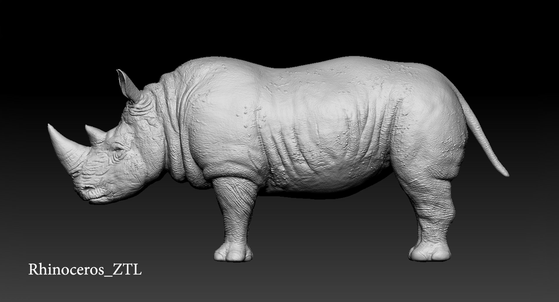 rhinoceros rigged 3D model https://p.turbosquid.com/ts-thumb/hr/MntE92/lf2fpKpf/z001/png/1537023924/1920x1080/fit_q87/fe045aa0988f86683ba6512434c6ce3351018232/z001.jpg