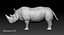 Rhinoceros_Rigged