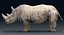 Rhinoceros_Rigged