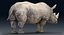 Rhinoceros_Rigged