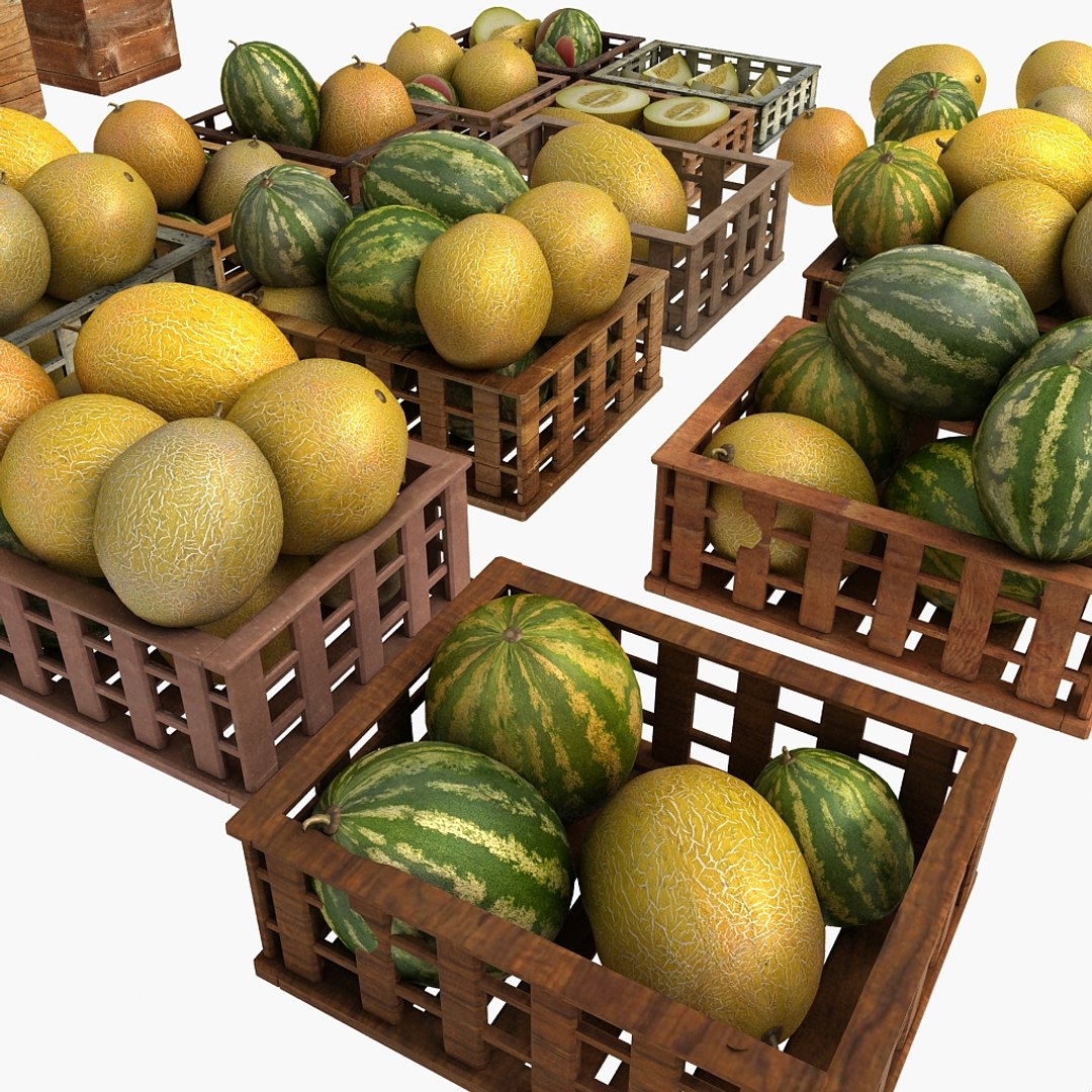 3d market model https://p.turbosquid.com/ts-thumb/hr/NEr4cM/4BoYUbav/04/jpg/1360624478/1920x1080/fit_q87/528f90365778864d41150766d9dba4b209c2336f/04.jpg