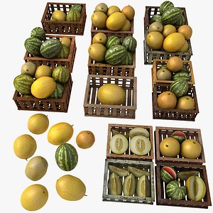 White Melon Fruit Crates Cases Market Store Shop Convenience General Grocery Greengrocery Detail Prop Fair Plantation Jungle South Plant Garden Greenhouse (2)