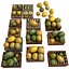 White Melon Fruit Crates Cases Market Store Shop Convenience General Grocery Greengrocery Detail Prop Fair Plantation Jungle South Plant Garden Greenhouse (2)