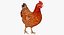 Animali da fattoria Grande collezione 5