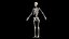 Female Body and Skeletal System