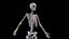 Female Body and Skeletal System