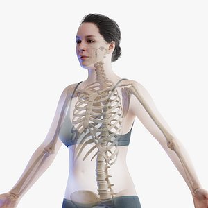 Female Body and Skeletal System model