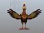 Cartoon Chicken