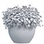 buquê de flores amarelas em um vaso para decoração