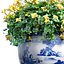 buquê de flores amarelas em um vaso para decoração