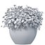 buquê de flores amarelas em um vaso para decoração