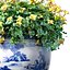 buquê de flores amarelas em um vaso para decoração