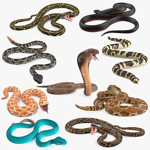 3D Snakes Big Rigged Collection for Cinema 4D model