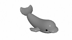 3D Little dolphin model