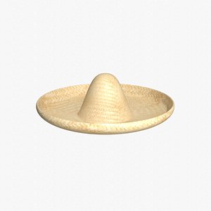 Cartoon sombrero model