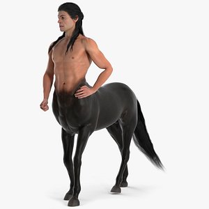 Creature Long Hair Centaur Rigged for Cinema 4D