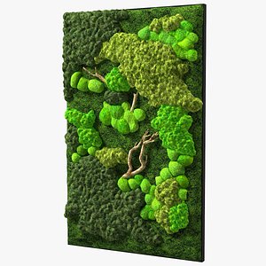 Decorative Moss Wall