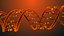 Model DNA Static Hipoly