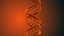 Model DNA Static Hipoly