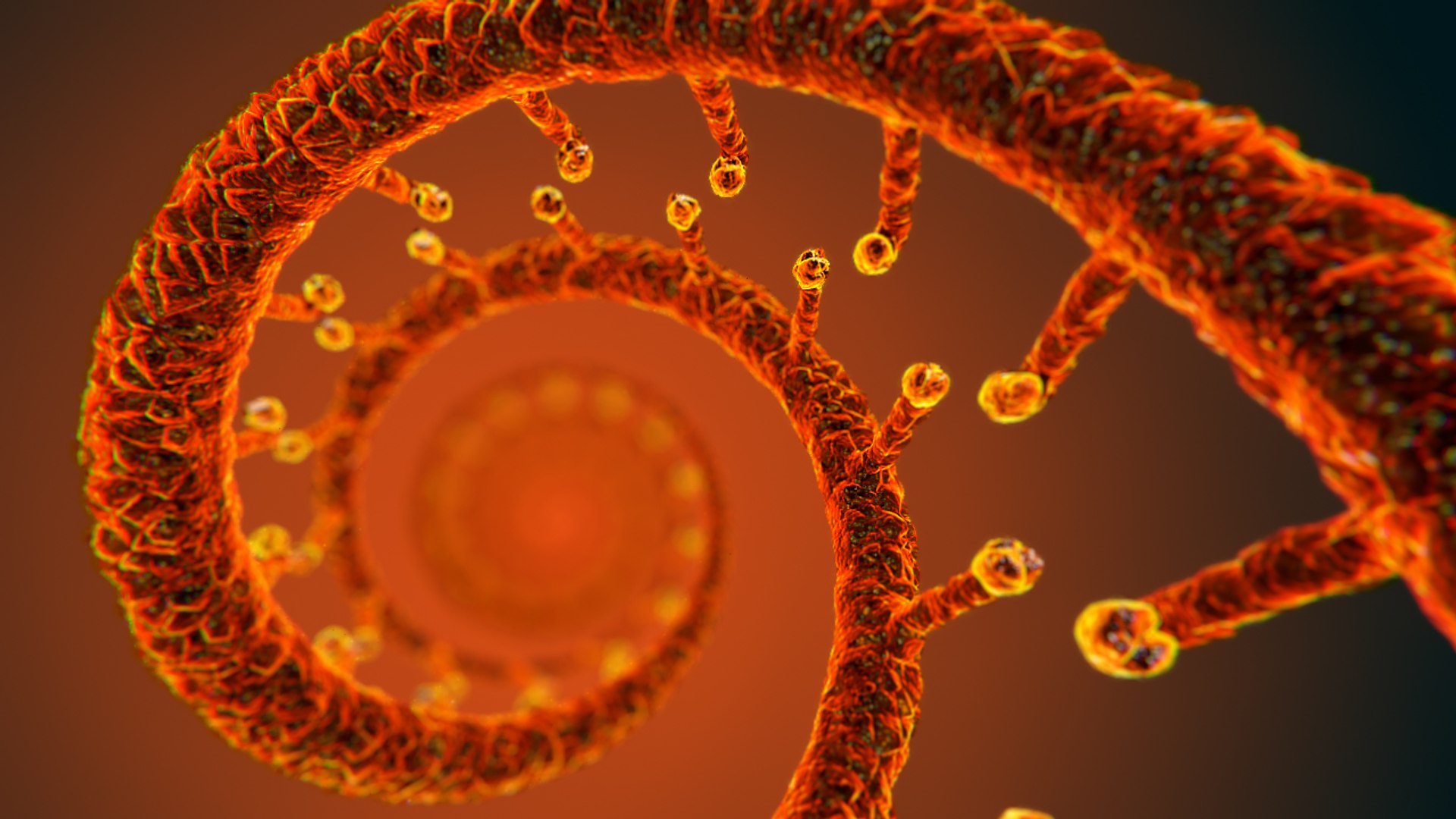 3D dna https://p.turbosquid.com/ts-thumb/hs/2GpBPt/LePCkRb9/dna_01/jpg/1493038416/1920x1080/fit_q87/09059b61718bacca54c6a15d4143c4ce78025ca1/dna_01.jpg