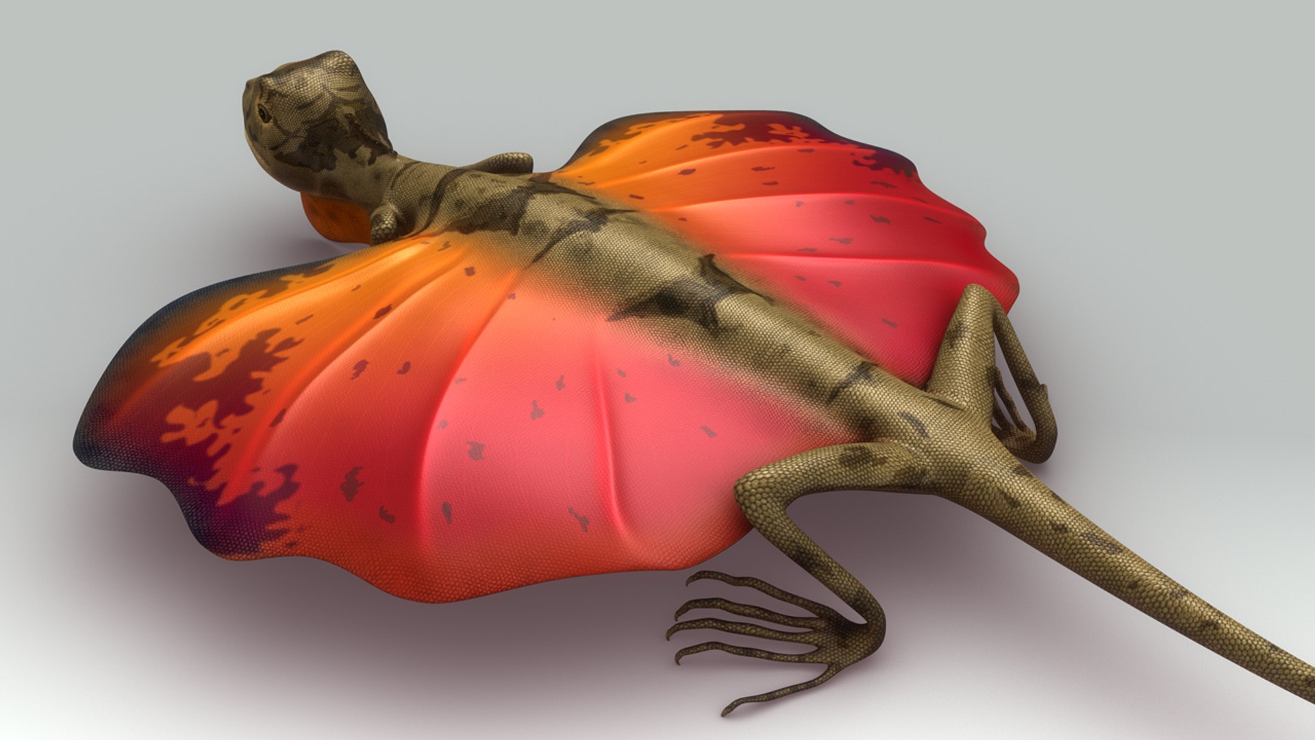 Obj Flying Lizard