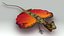 Flying Lizard