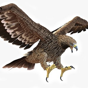 Realistic Imperial Eagle Rigged