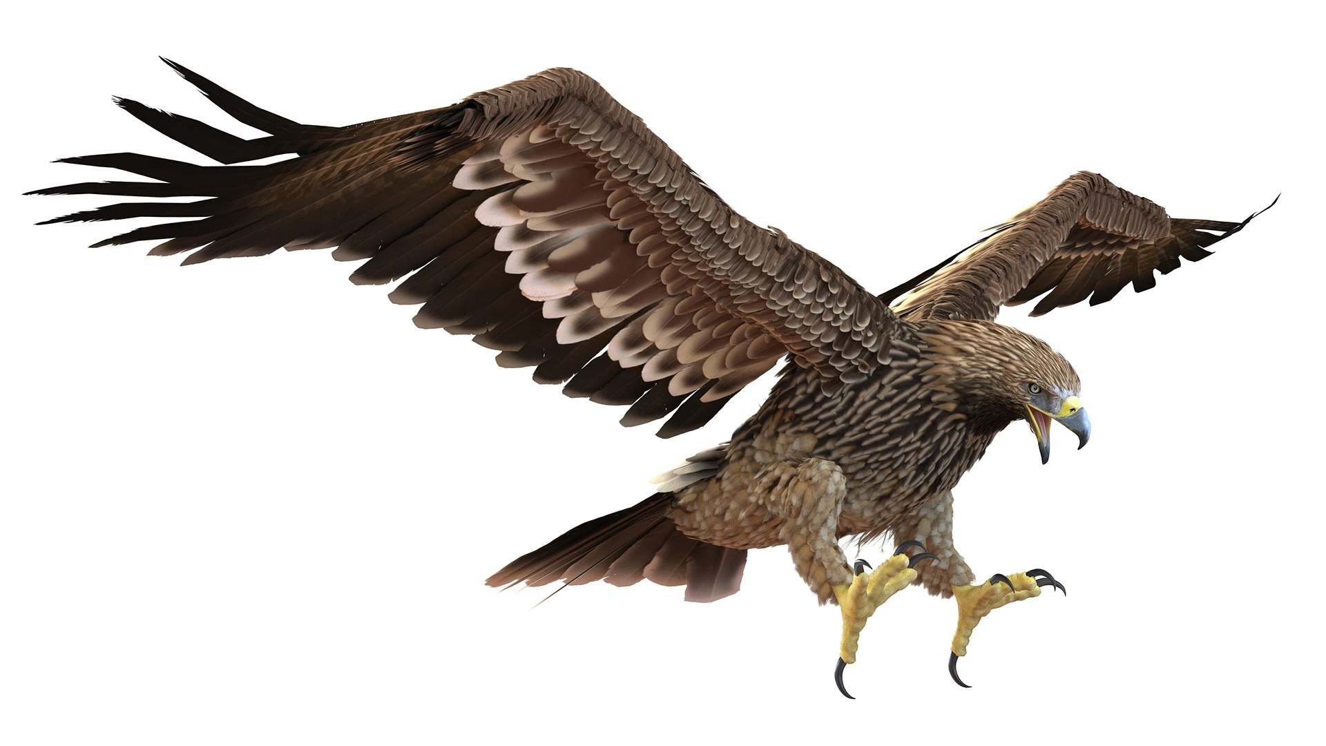 Realistic Imperial Eagle Rigged 3D model preview
