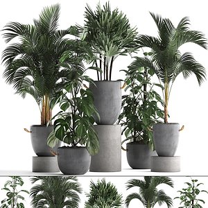 3D tropical plants model - TurboSquid 1209866