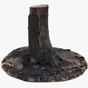 oak stump 11 3D model