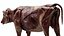 Cow Anatomy 3D 3D