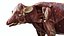 Cow Anatomy 3D 3D
