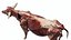 Cow Anatomy 3D 3D