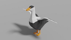 3D animal bird nature model