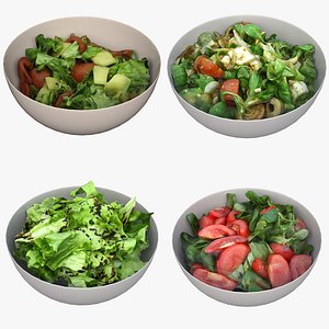 3D Salad Collection 04