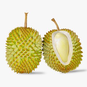 3D Durian Fruit 3D