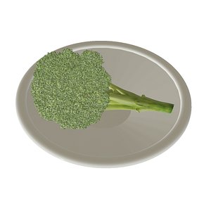 broccoli on plate model