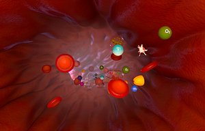 3D blood vessels with blood elements