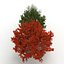 red oak old tree 3d model