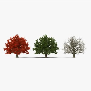 Red Oak Old Tree Set