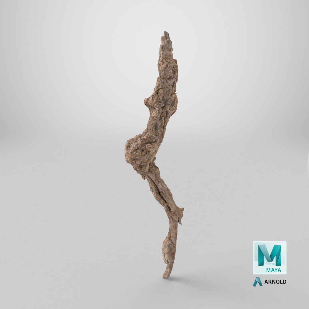 Grapevine Bark 3D Scanned 09 StemCell 3D model https://p.turbosquid.com/ts-thumb/ht/3gZmKC/Dz/stemcell_maya_arnold_render/png/1728314585/1920x1080/fit_q87/597c921f6e8c63580ce9959951a94d1928ea40e2/stemcell_maya_arnold_render.jpg