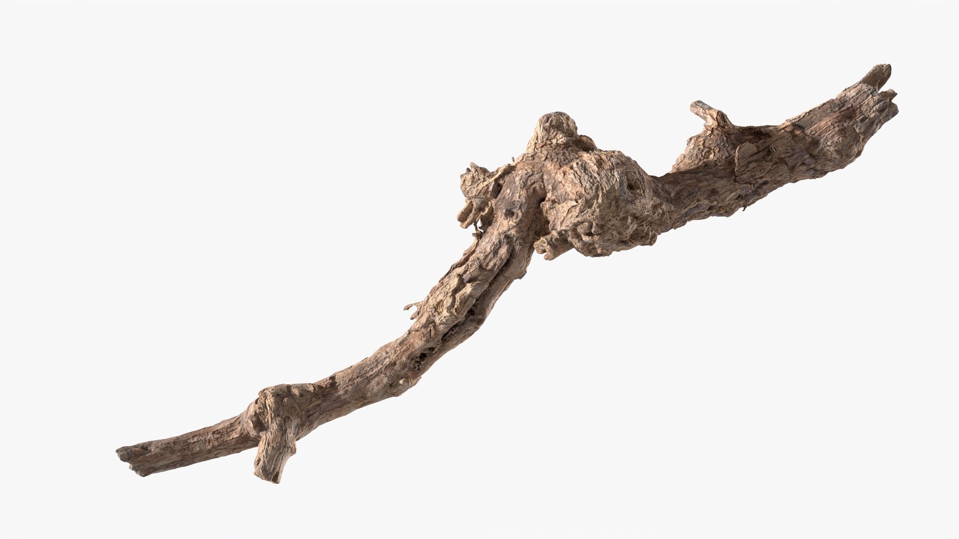 Grapevine Bark 3D Scanned 09 StemCell 3D model https://p.turbosquid.com/ts-thumb/ht/3gZmKC/J2/grapevine_09_p03/jpg/1726478080/1920x1080/fit_q87/5563b712b58e3a76acaf1343fe86a61a4b5d1b27/grapevine_09_p03.jpg