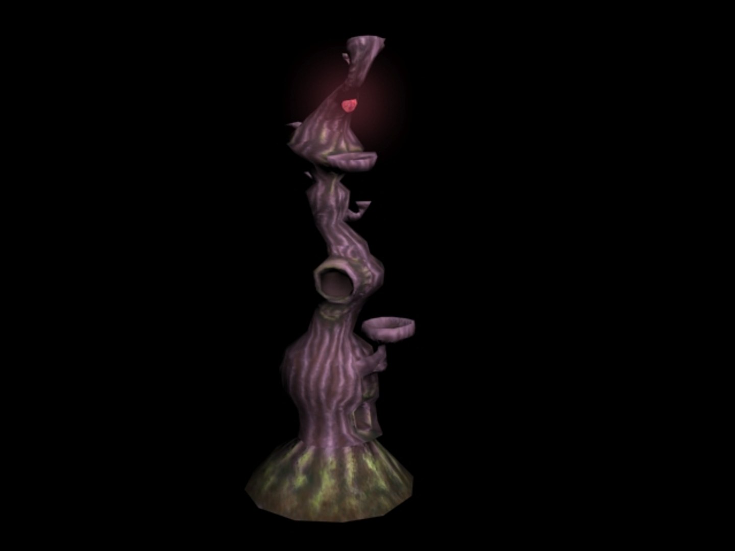 maya magic tree plant