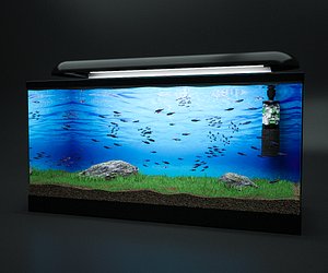 Fish Tank Neon