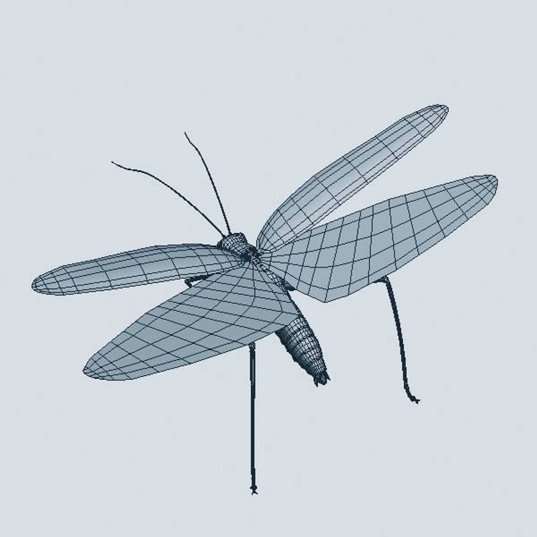 locust max
