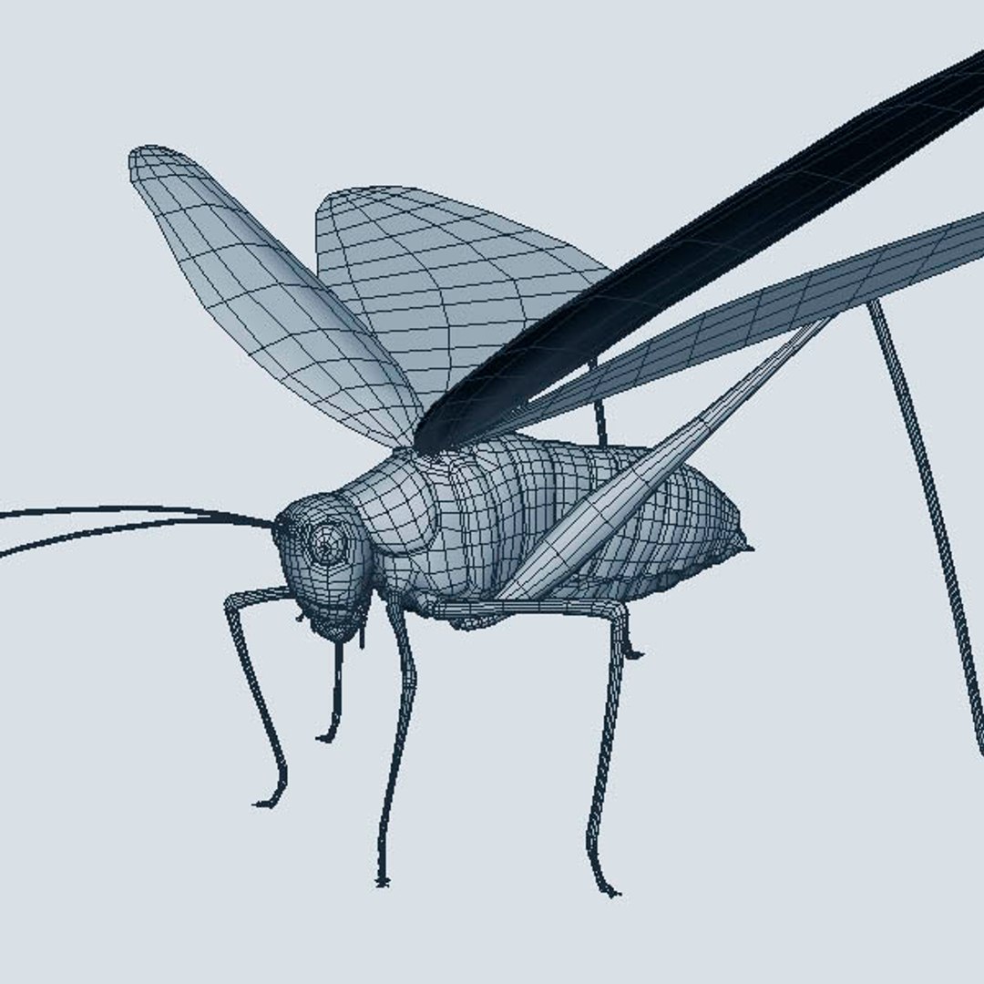 locust max
